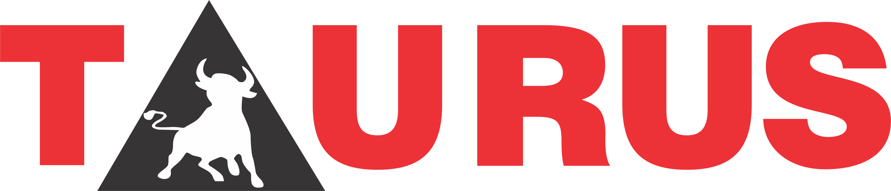 Taurus Solutions Ltd logo